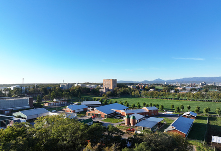 学校イメージ