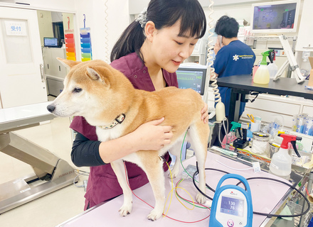 酪農学園大学の特長２