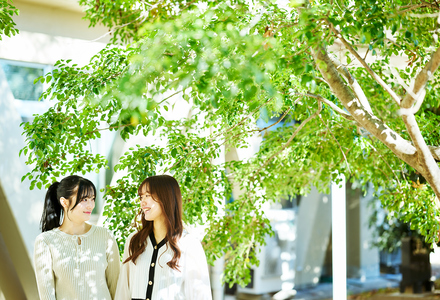 学校イメージ
