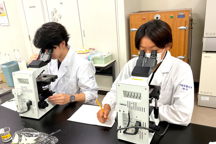 中国学園大学 細胞生理化学実験の１コマ。この日は植物細胞をサンプルに、顕微鏡下で細胞の長さを測定する手技を学んでいます。