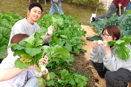中国学園大学 栄養セミナーIIＢでは野菜の旬、食物生産の理解のため、学生が実際に野菜を栽培し、消費するまでの過程を体験します。