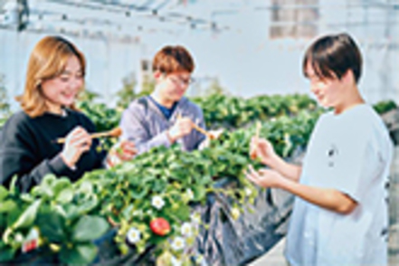 吉備国際大学 【農業資源生物学科】地域創成を担うリーダーの養成をめざし農業の6次産業化に必要な総合的知識が身につく教育プログラムを編成