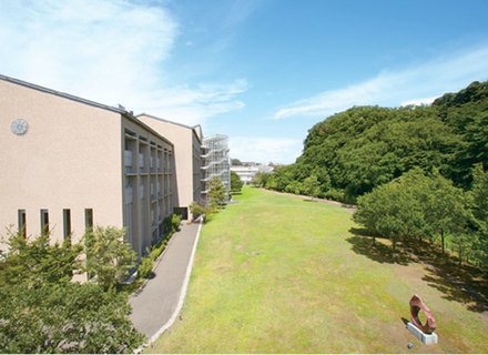 鎌倉女子大学の特長３