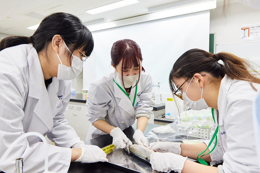 キャンパスライフPhoto