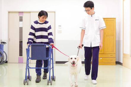 四條畷学園大学 医療現場での人と動物の関わりを学べる「動物介在療法」
