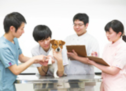 ヤマザキ動物看護大学の特長１