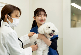 ヤマザキ動物看護専門職短期大学