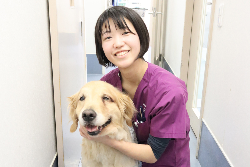 ヤマザキ動物看護専門職短期大学／卒業後のキャリア（動物トータルケア