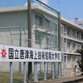 国立唐津海上技術短期大学校の既卒者向け画像