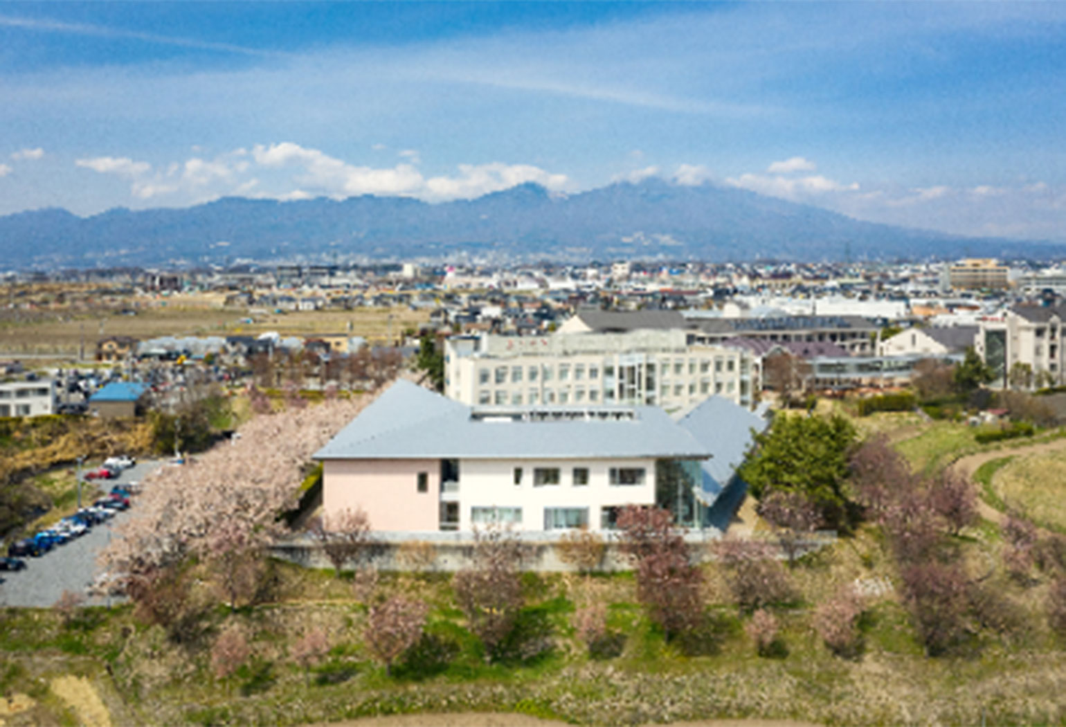 長野 大学 偏差 値