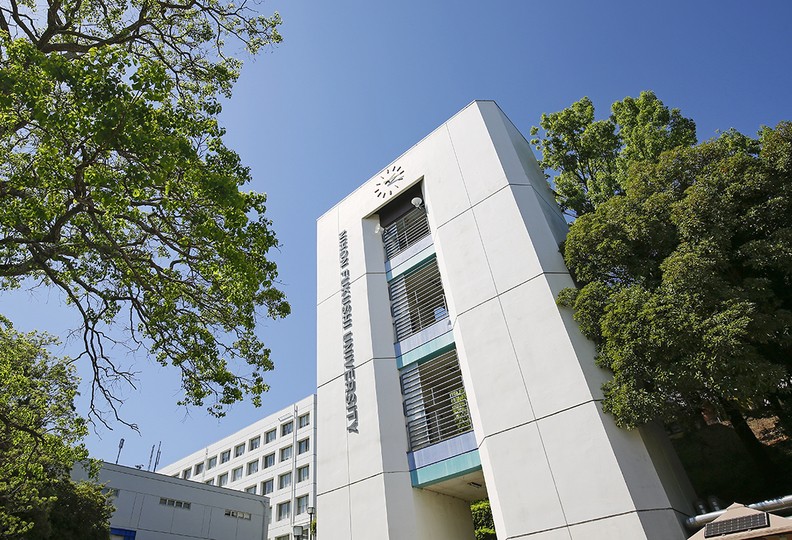 日本福祉大学（通信教育部）の風景