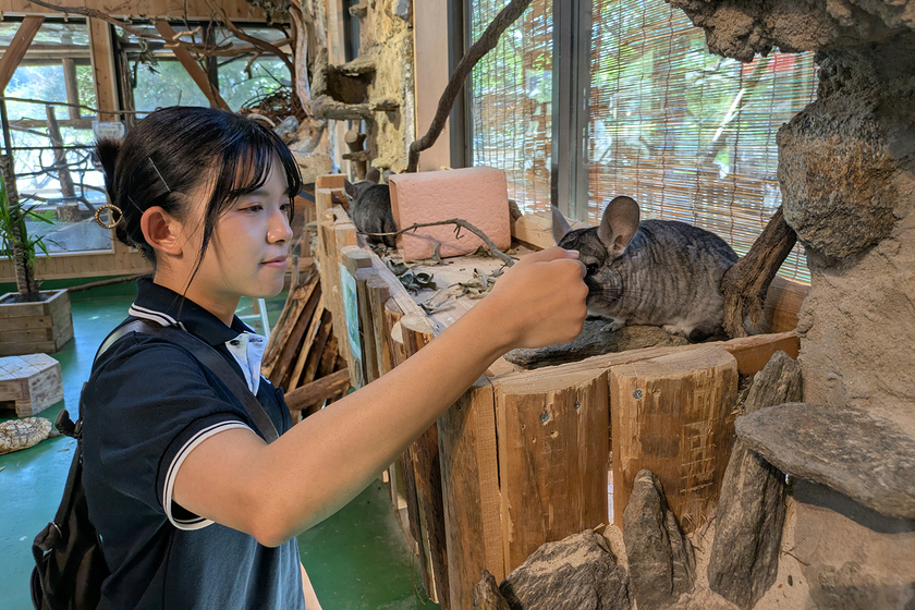 キャンパスライフPhoto