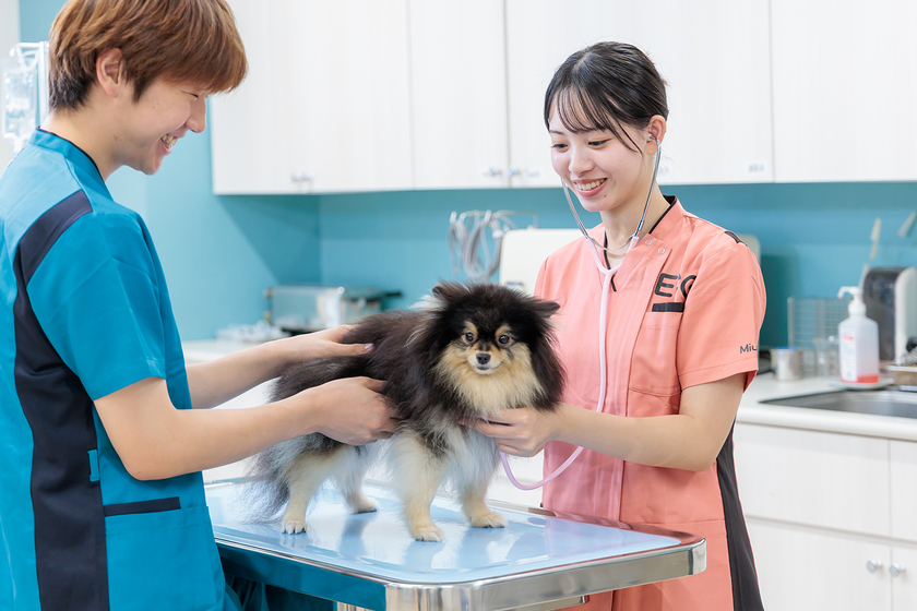 キャンパスライフPhoto