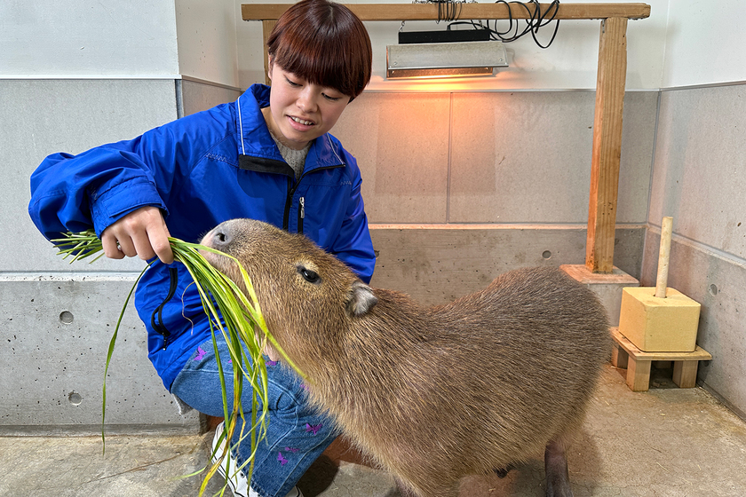 キャンパスライフPhoto