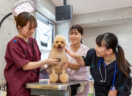 東京ブレーメン動物専門学校の特長１