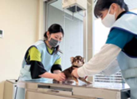 東京ブレーメン動物専門学校の特長２