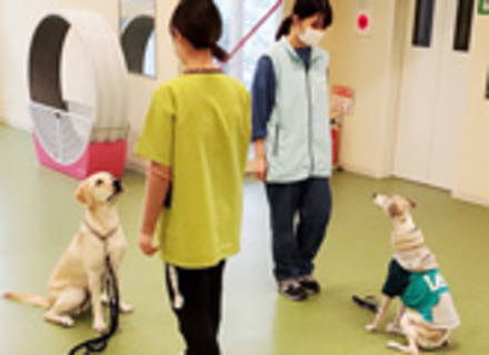 東京ブレーメン動物専門学校の特長３