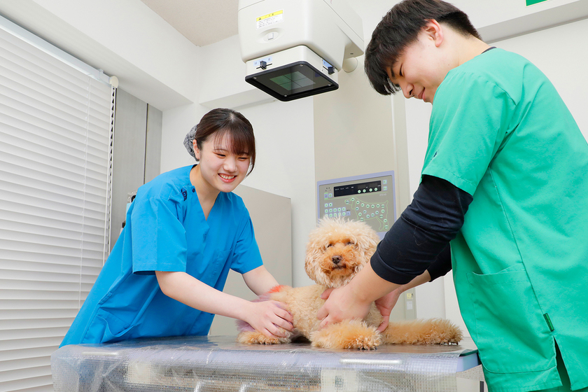 キャンパスライフPhoto