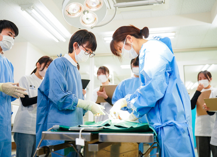 国際ペットワールド専門学校の特長２