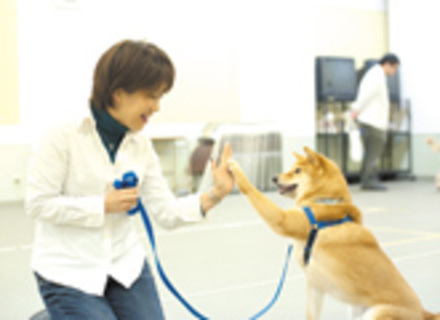 国際ペットワールド専門学校の特長３