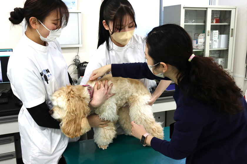 キャンパスライフPhoto