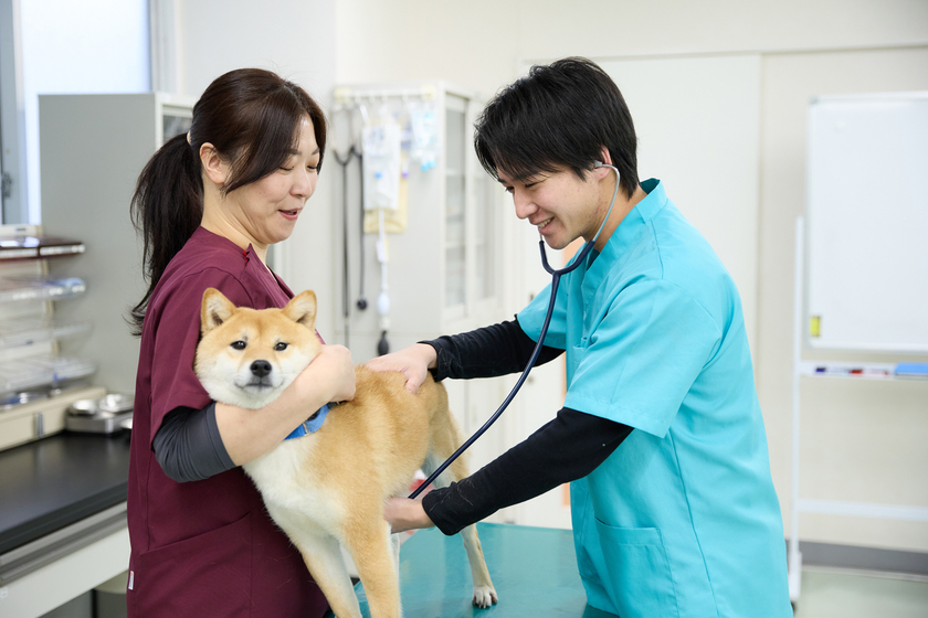 キャンパスライフPhoto