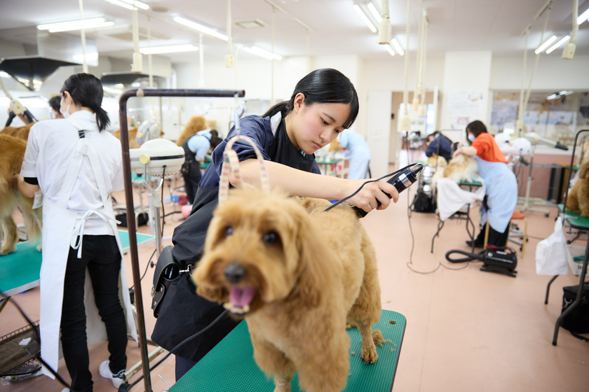 キャンパスライフPhoto