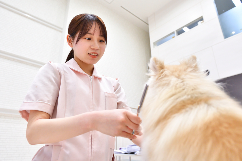 キャンパスライフPhoto