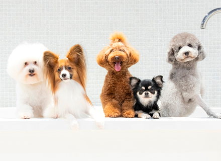 北海道どうぶつ・医療専門学校の特長３