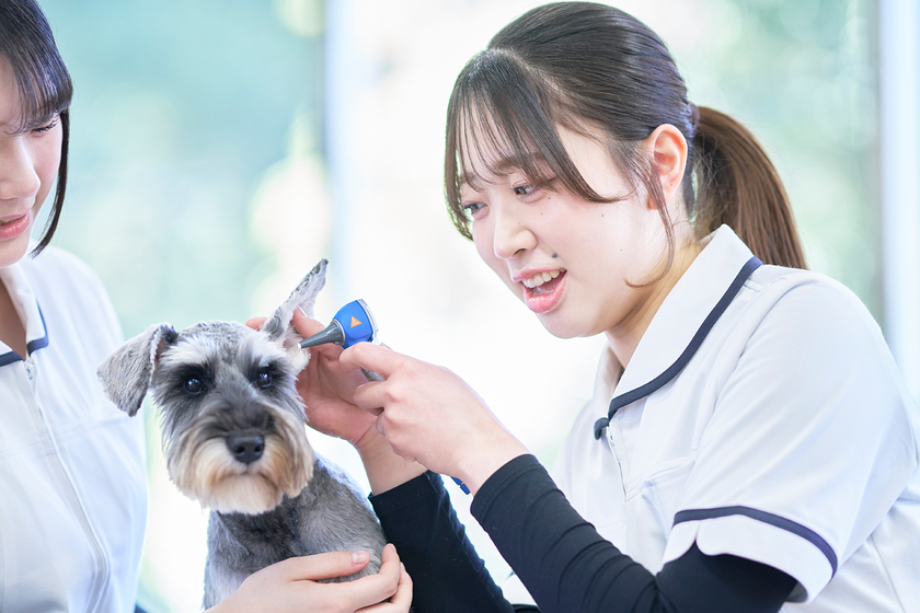 キャンパスライフPhoto