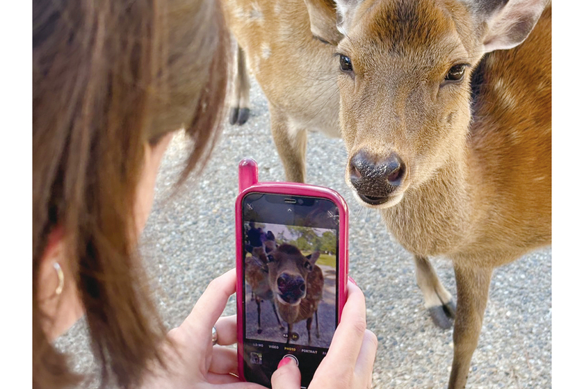 キャンパスライフPhoto