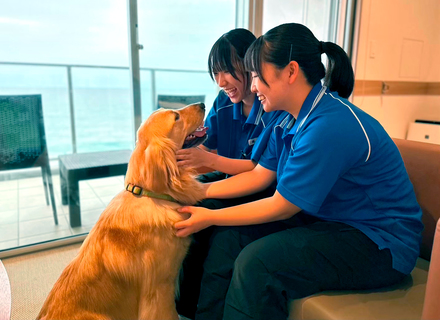 国際動物専門学校の特長１