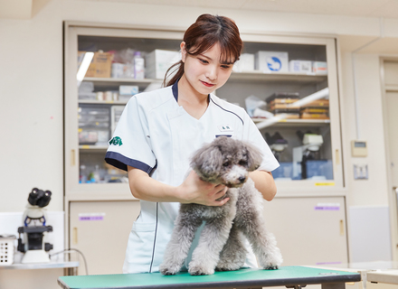 国際動物専門学校の特長２