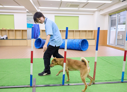 国際動物専門学校の特長３