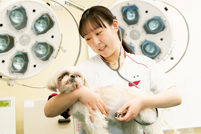 キャンパスライフPhoto