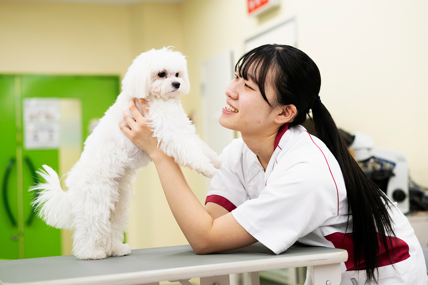 キャンパスライフPhoto