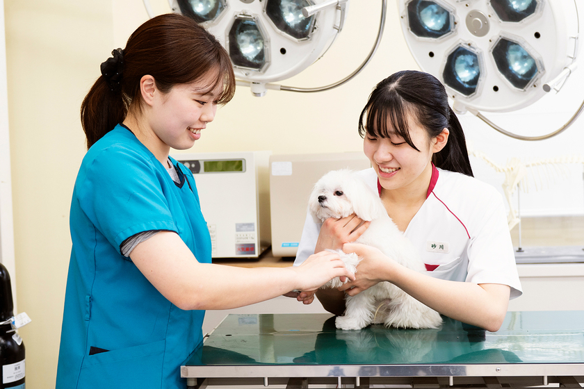 キャンパスライフPhoto