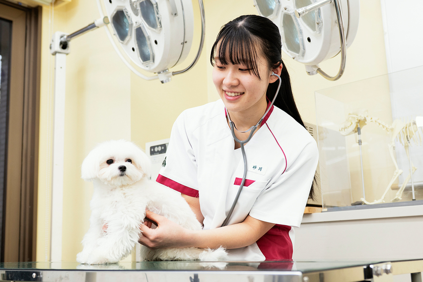 キャンパスライフPhoto