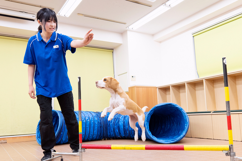 キャンパスライフPhoto