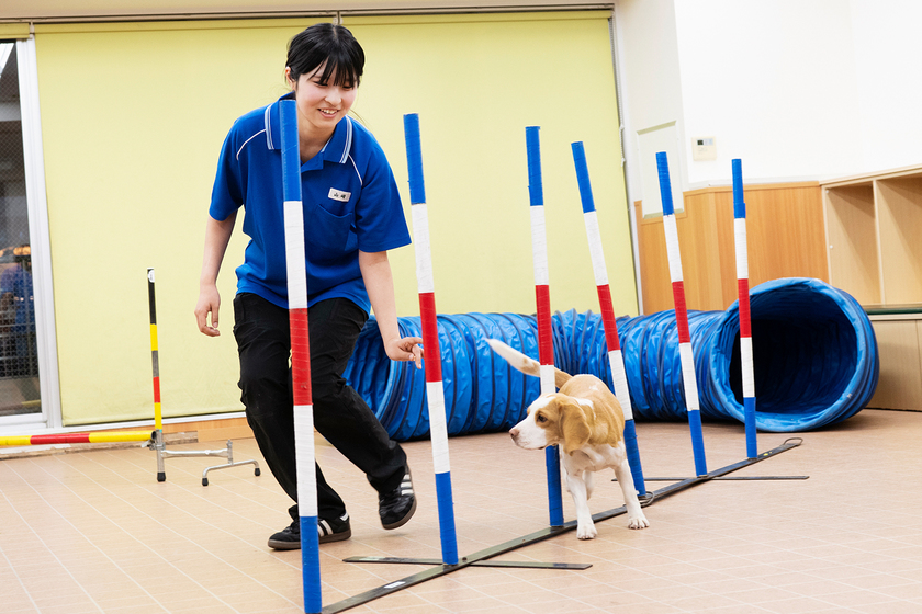 キャンパスライフPhoto