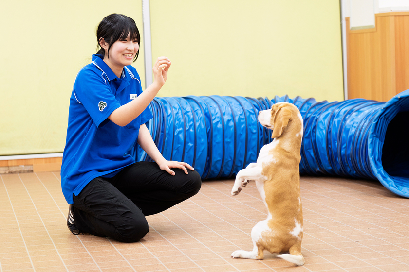 キャンパスライフPhoto