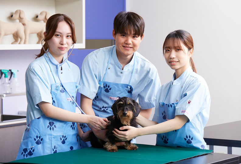 ヤマザキ動物専門学校の風景
