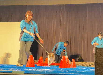 河原アイペットワールド専門学校の特長３