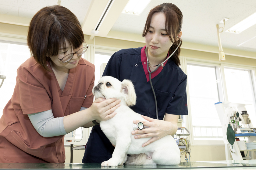 キャンパスライフPhoto