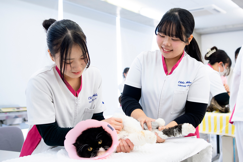 キャンパスライフPhoto