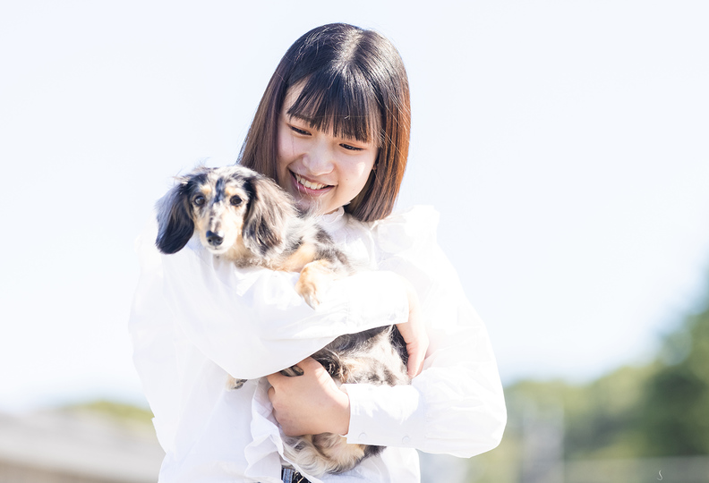 京都動物専門学校の風景