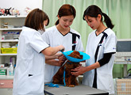 京都動物専門学校の特長２