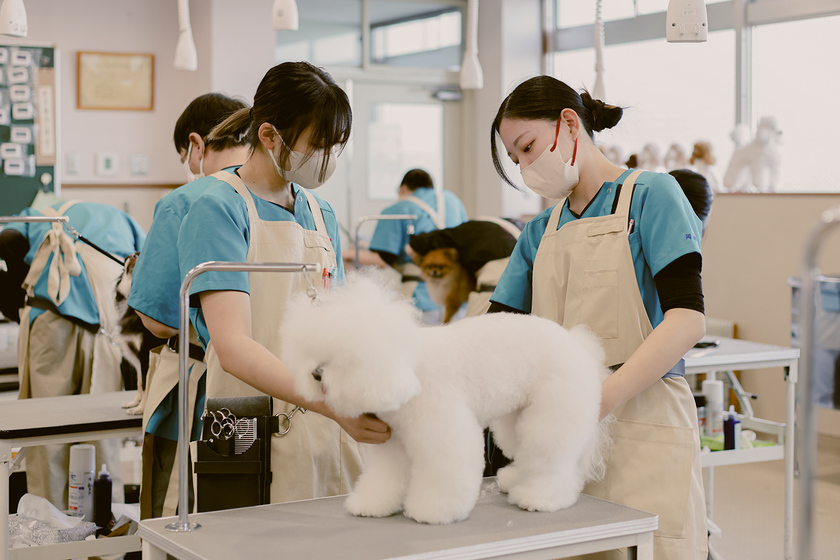 キャンパスライフPhoto