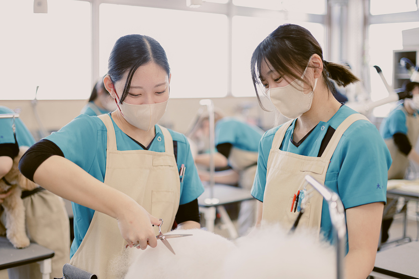 キャンパスライフPhoto