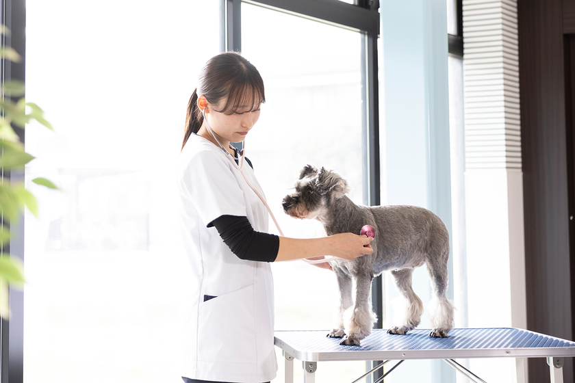 キャンパスライフPhoto